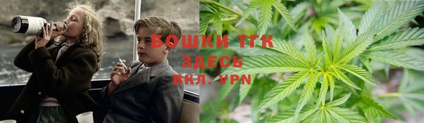 сатива Богородицк