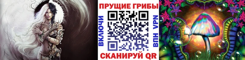 Галлюциногенные грибы Psilocybine cubensis  Верхний Тагил 