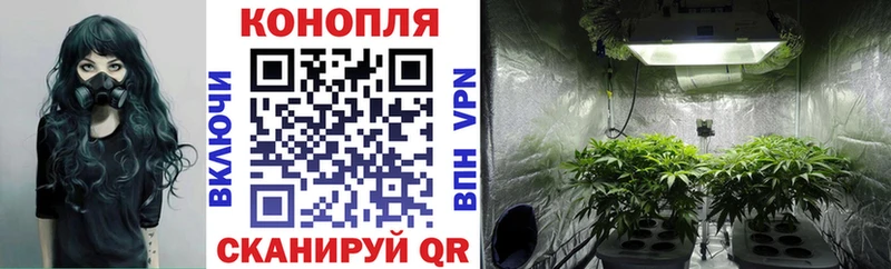 Бошки Шишки THC 21%  закладка  Верхний Тагил 